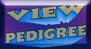View Pedigree